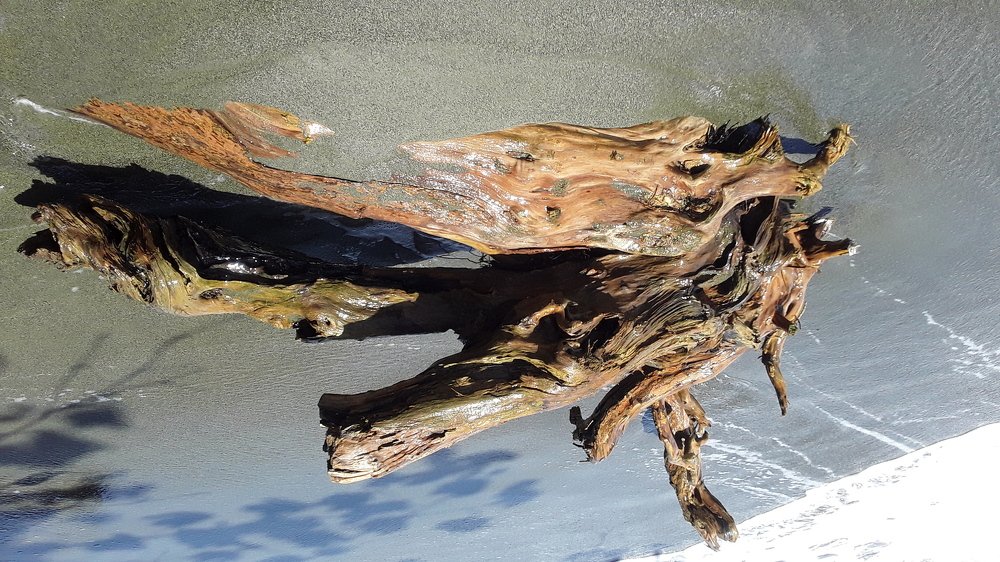 Sea Log