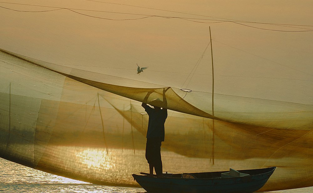 Photograph by Van Dong Nguyen