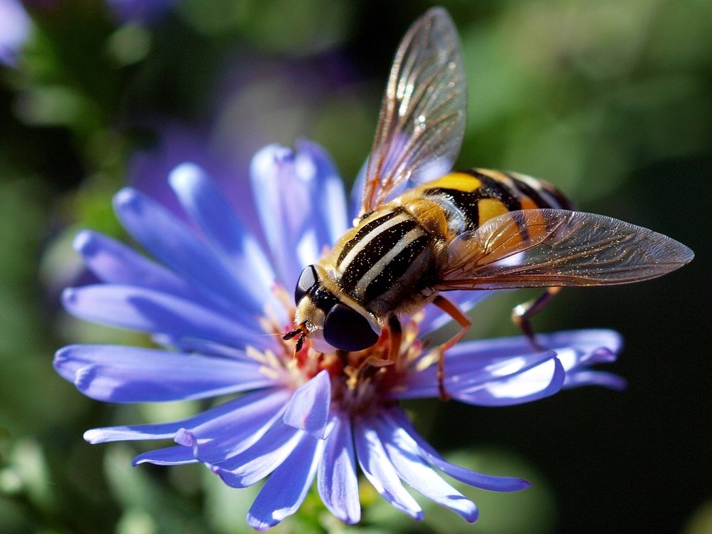 Photograph by Алексей