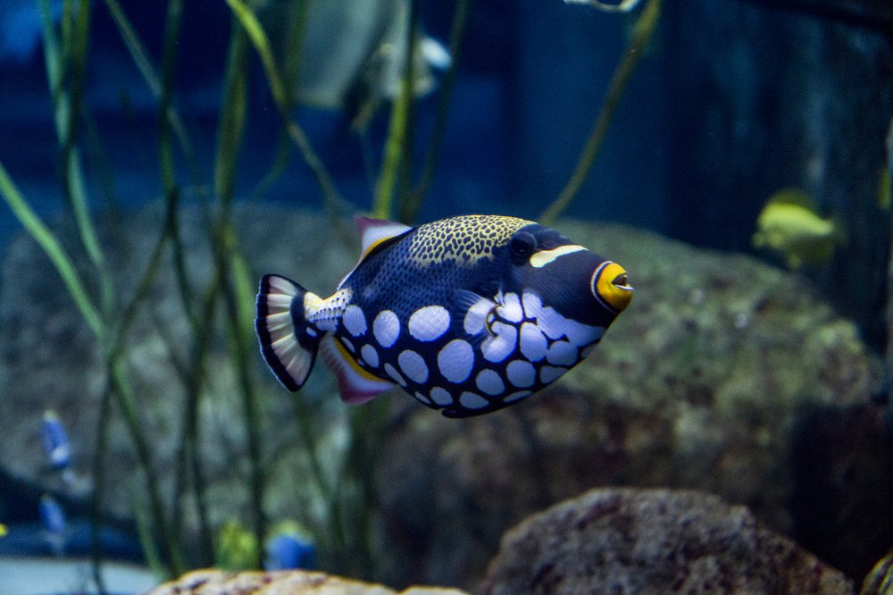 Photograph by Меркулова Наталья Геннадьевна