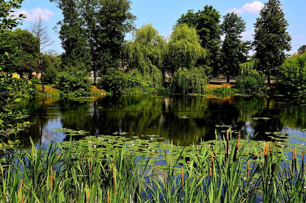 Photograph by Алексей