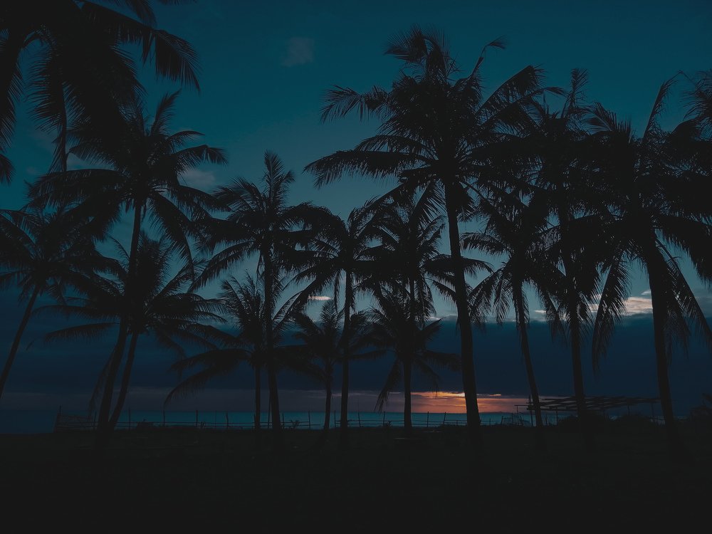 Photograph by Ian Ken Arenas