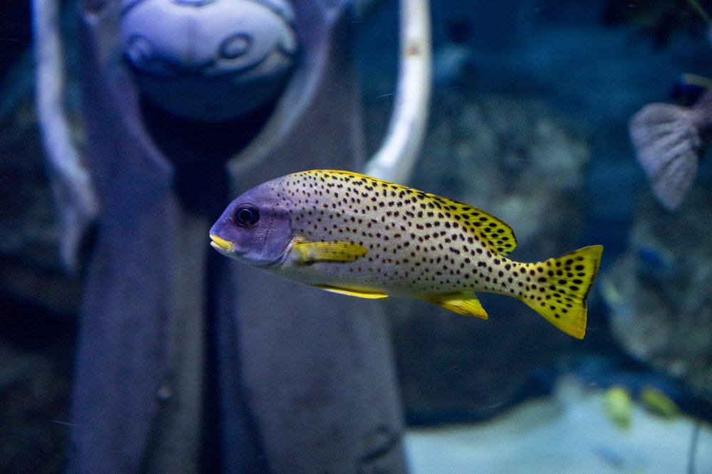 Photograph by Меркулова Наталья Геннадьевна