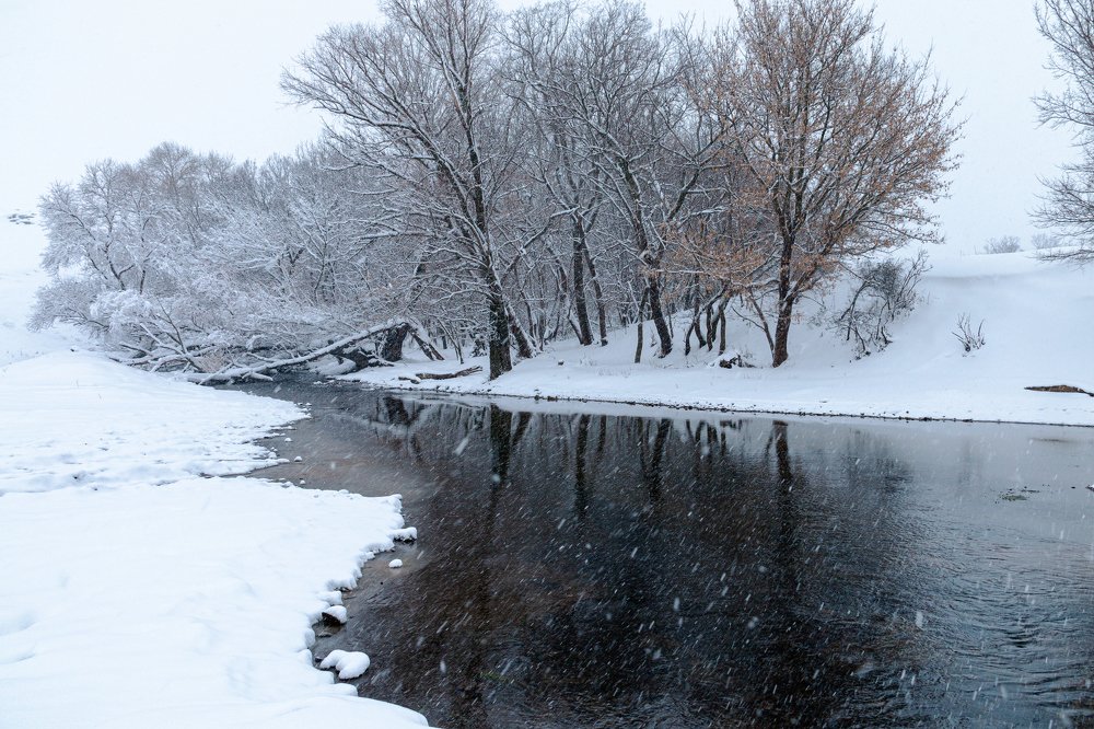 Photograph by Александр Пиленгас