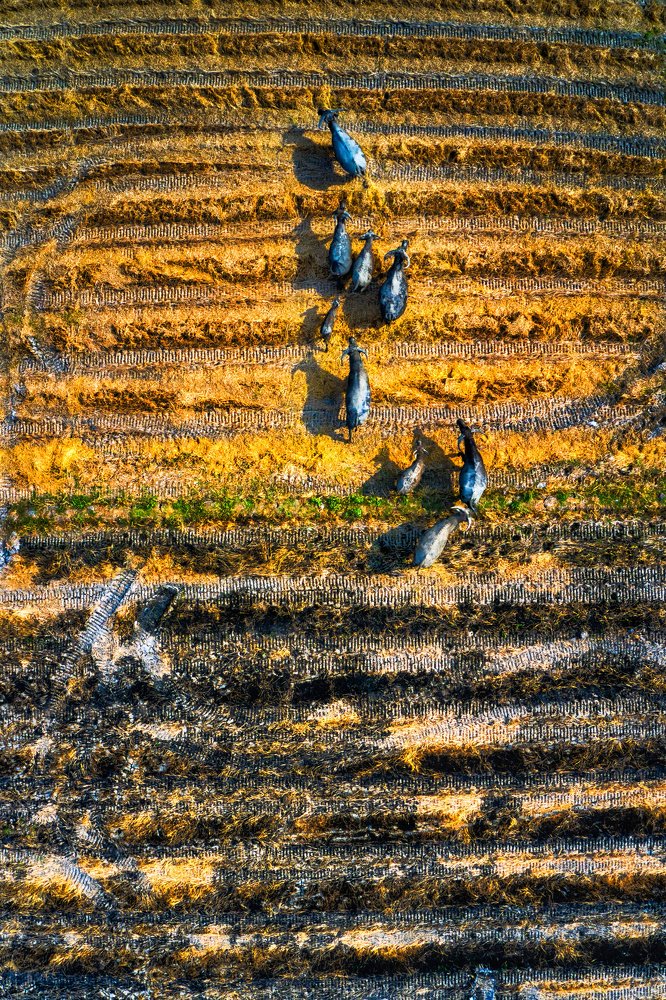 Фотография автора Tính Nguyễn