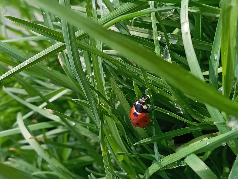 Photograph by Карина Винокуровая