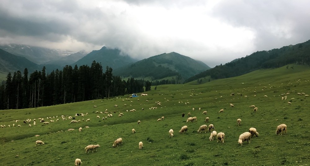 Nagbaren Satoora Tral