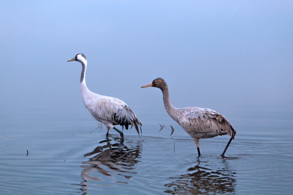 Фотография автора Сергей Середовой