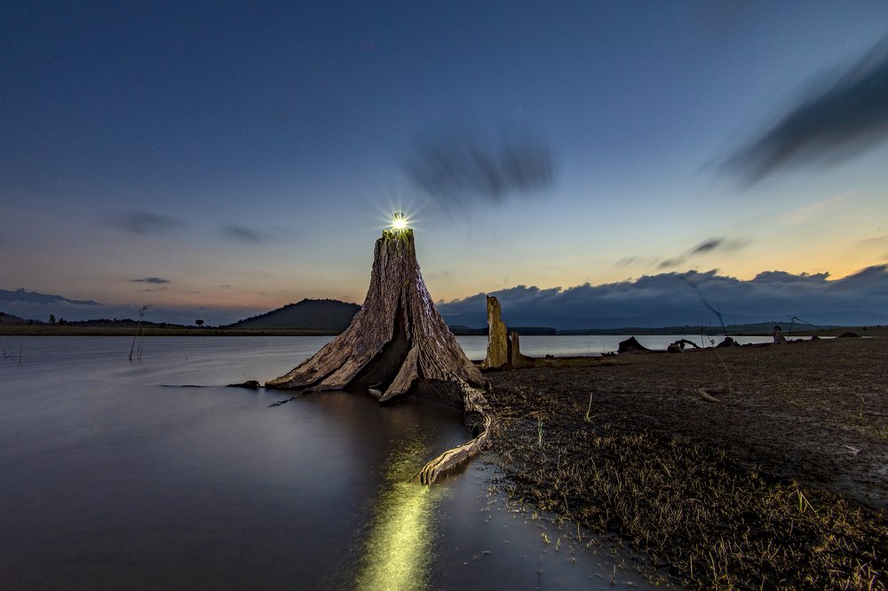 Photograph by Hong Tran