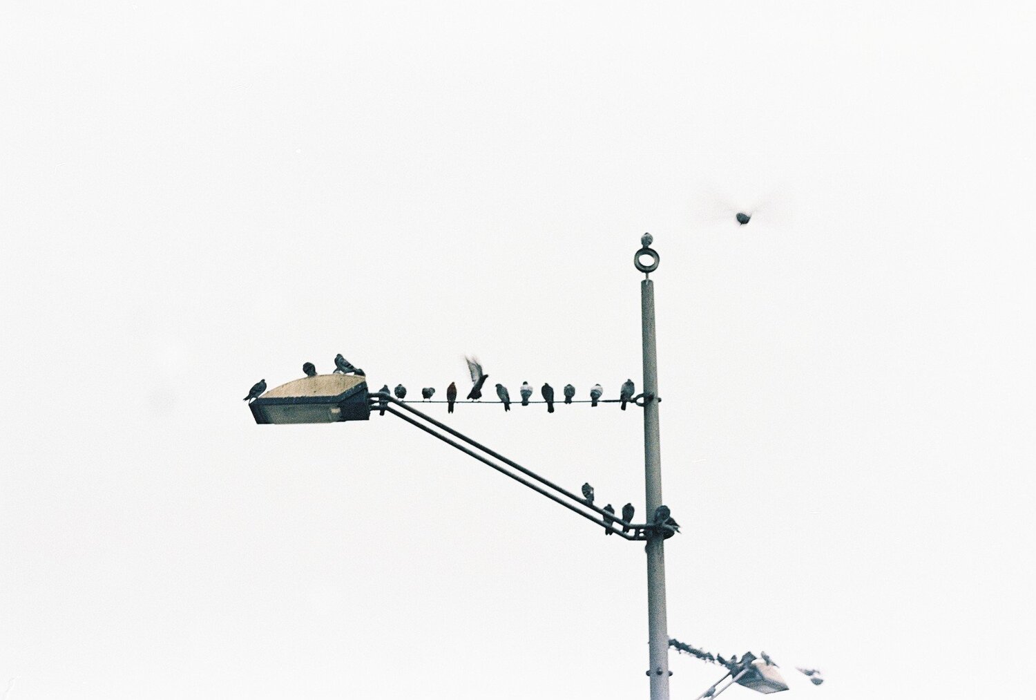 grey morning