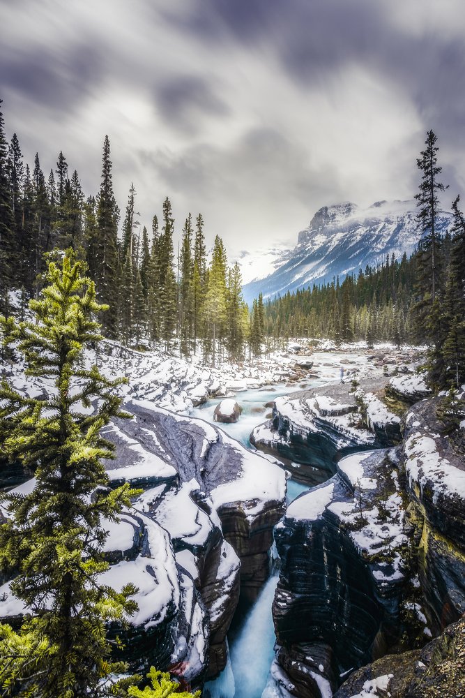 Photograph by Subrata Patra