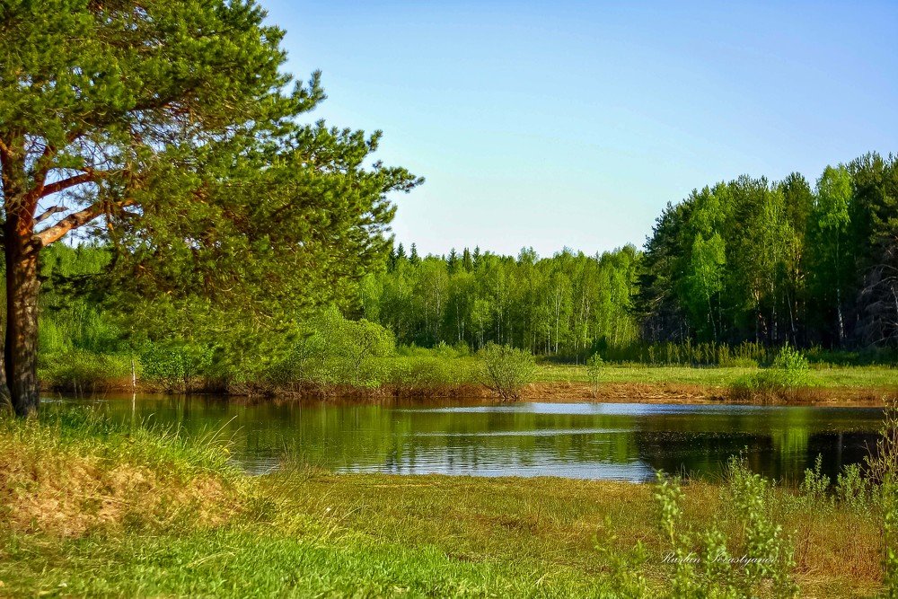 Photograph by Ruslan Sevastyanov