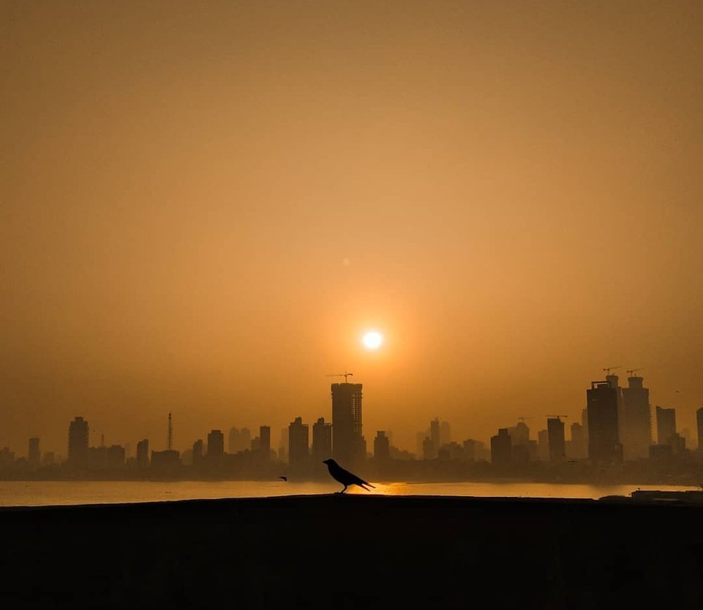 Mumbai Cityscapes