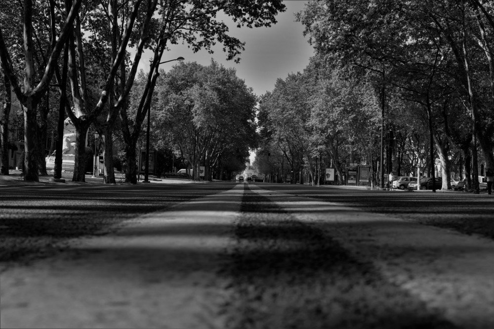 Photograph by João Figueiredo