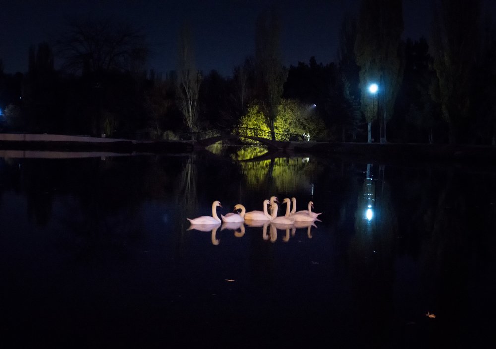 Photograph by Олег Подхватилин