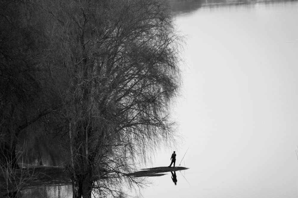 Photograph by Алексей Попов