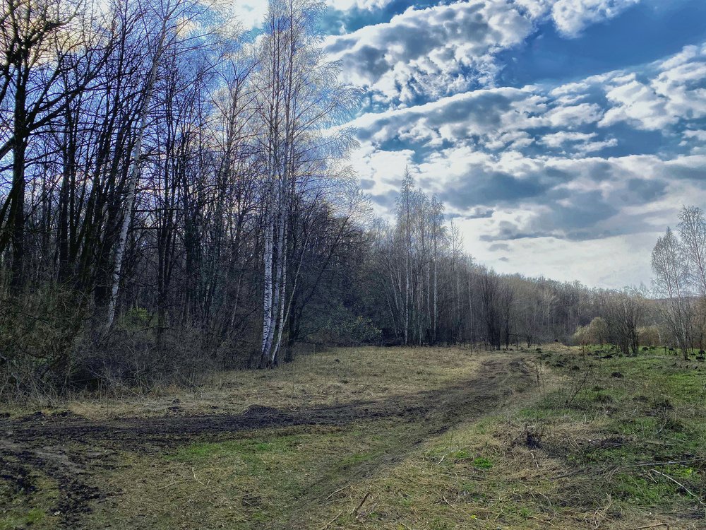 Photograph by Мари Полищук