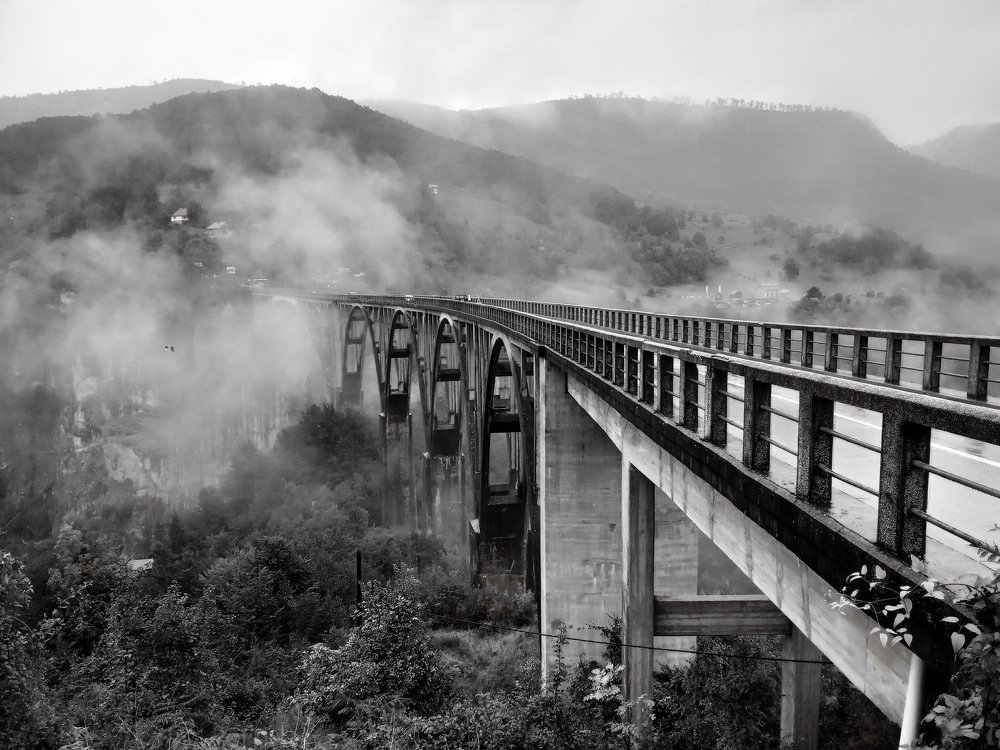 Сквозь туман