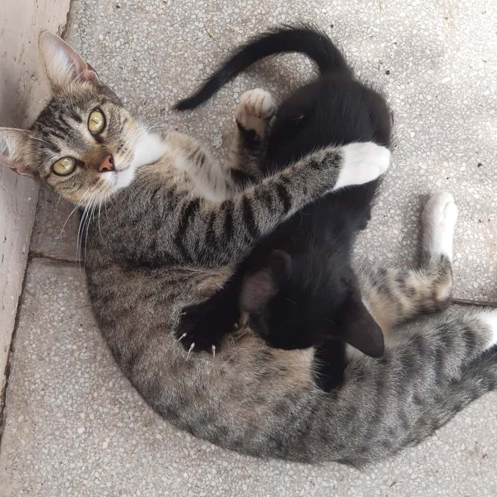 Loving and caring