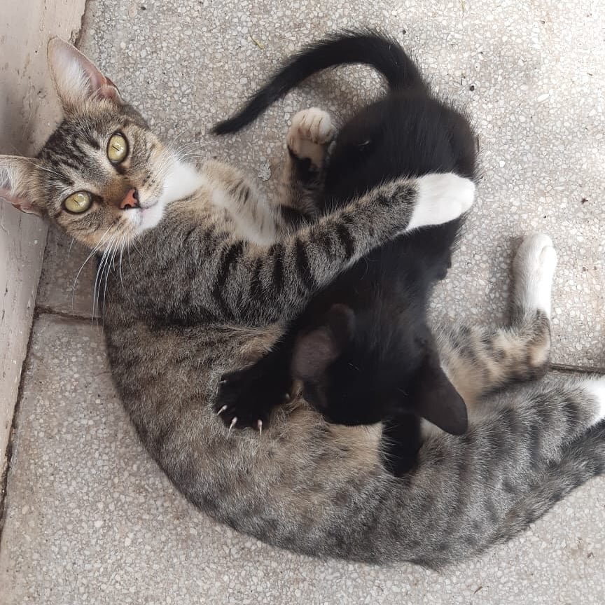 Loving and caring