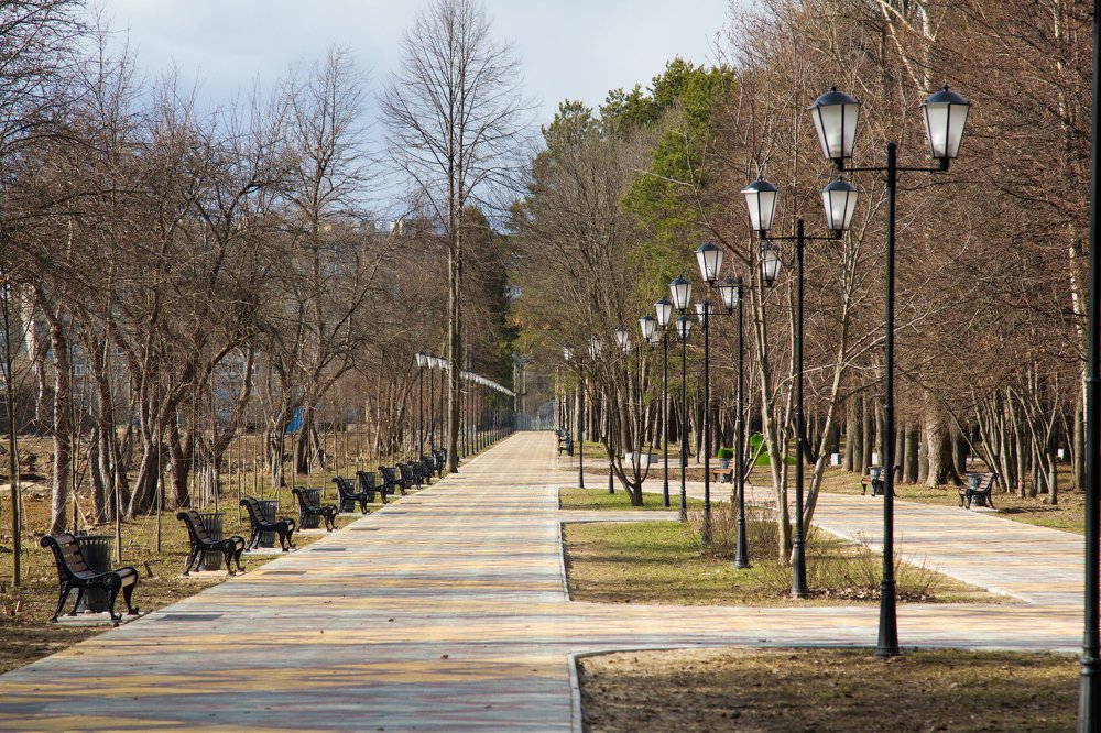 Photograph by МИХАИЛ ЛОГАШОВ