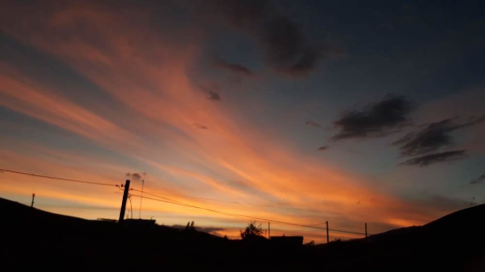 Photo #4513599
