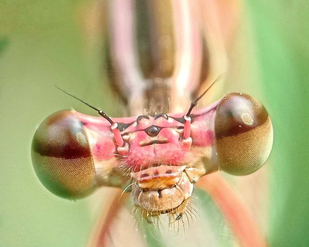 Photograph by Biplab Kumbhakar