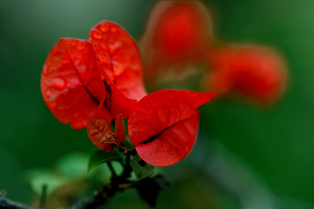 Photograph by Hiếu Hoàng