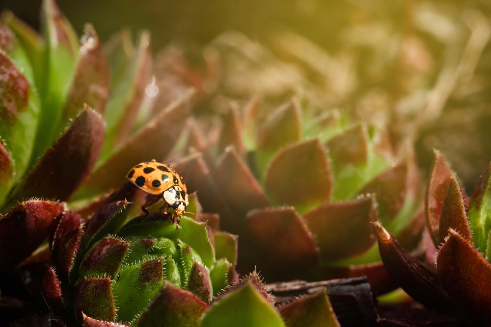 Photograph by Прокошева Екатерина
