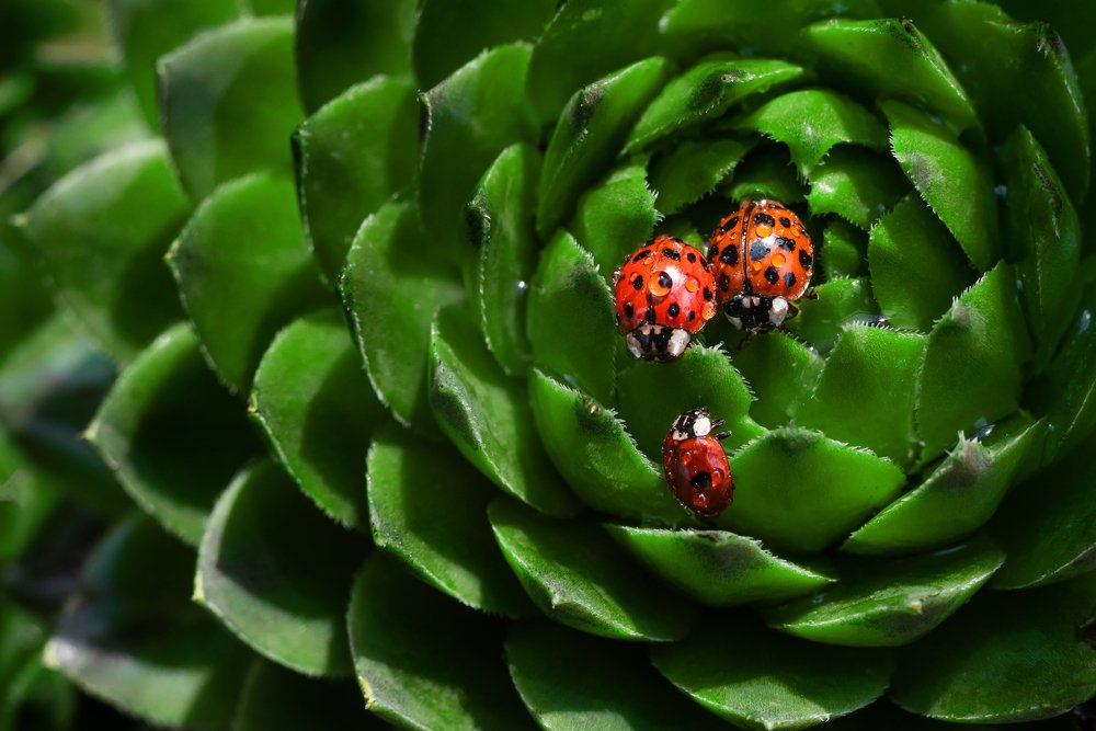 Photograph by Прокошева Екатерина