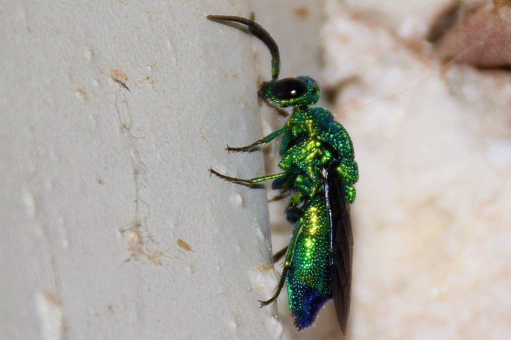 Photograph by fatemeh esmaeili