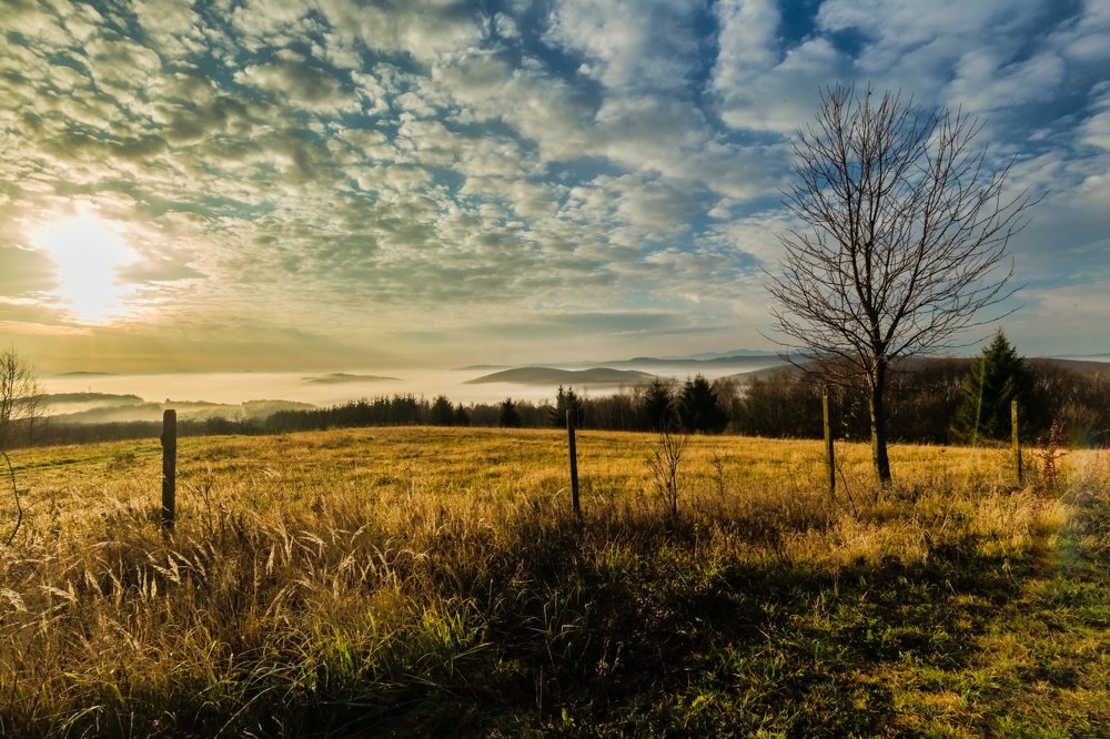 Photograph by Magdalena Kolenicova