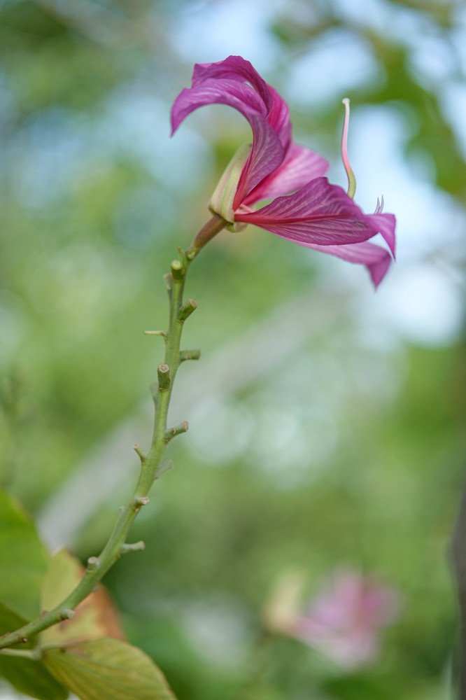 Spring is here.No matter what..