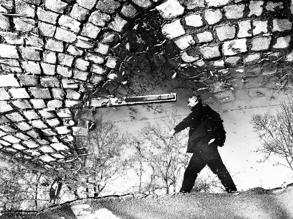 Фотография автора Nathalie Gatien David