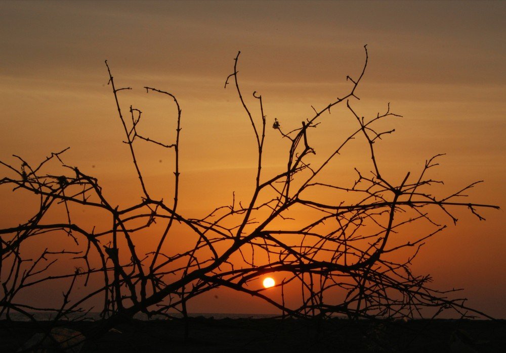 Photograph by Kapilesh Gujarathi