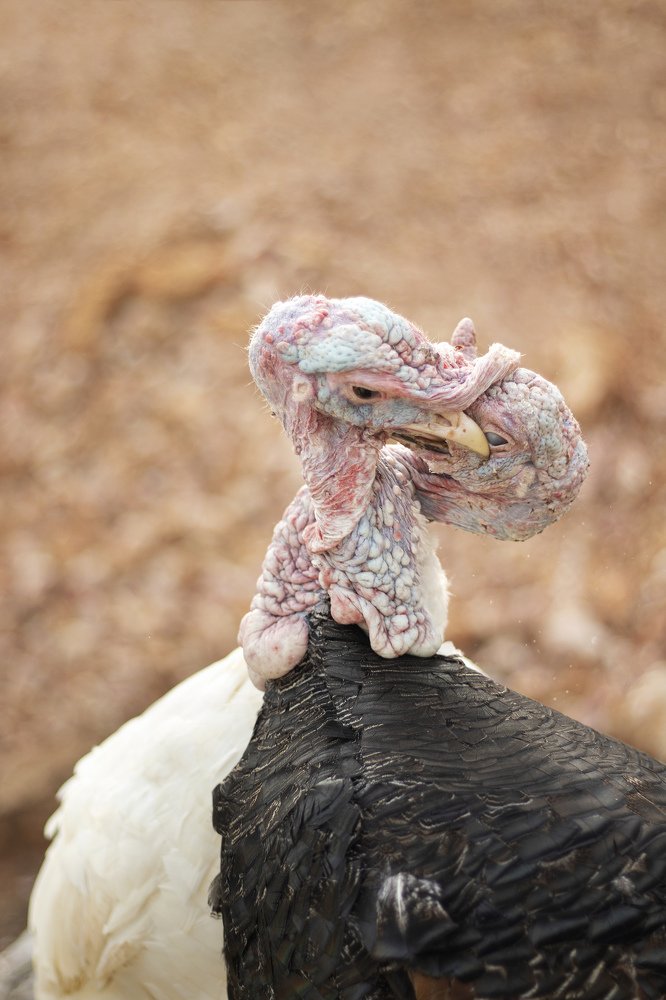 Photograph by Ogundele Ayorinde