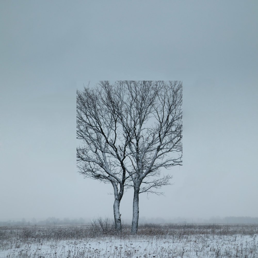 Photograph by Илья Абрамов