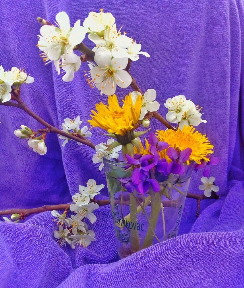 Photograph by Dragoslav Macanovic