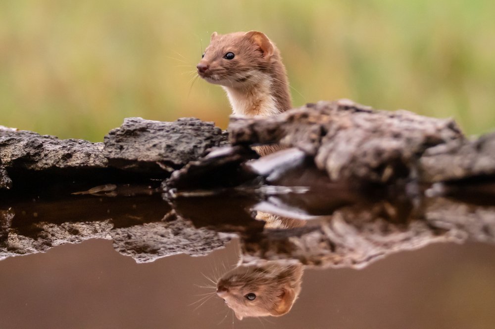 Photograph by Nikolay Stoyanov