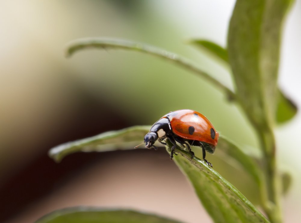Photograph by Таня Короткова