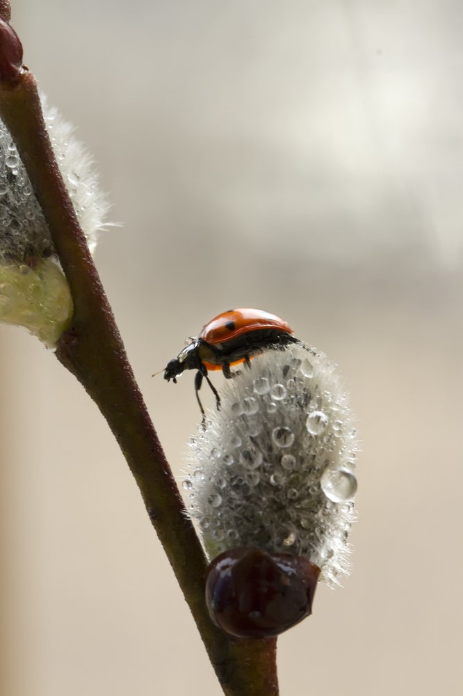 Photograph by Таня Короткова