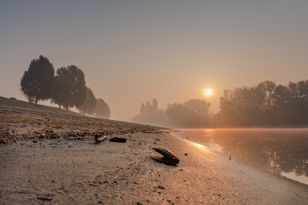 Photograph by Ervin Logo