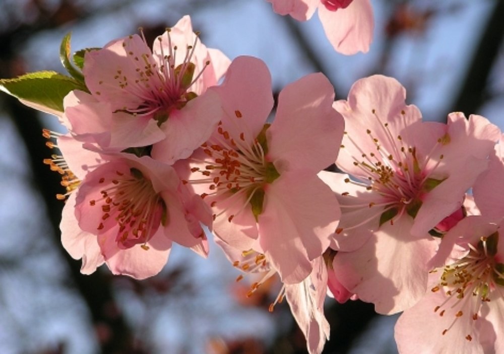 Photograph by София Логинова