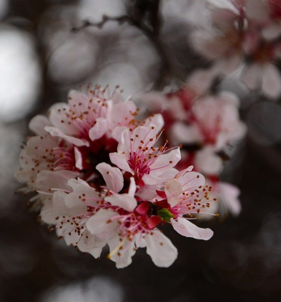 Photograph by София Логинова