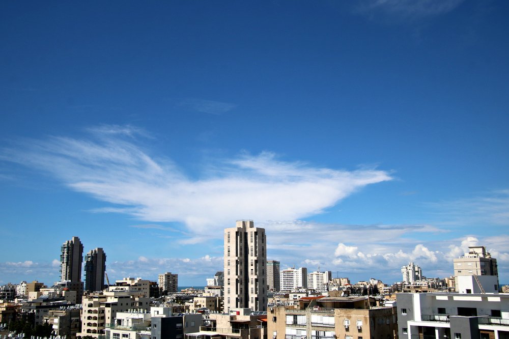 A bird-cloud in the sky.  It's going to be all right!