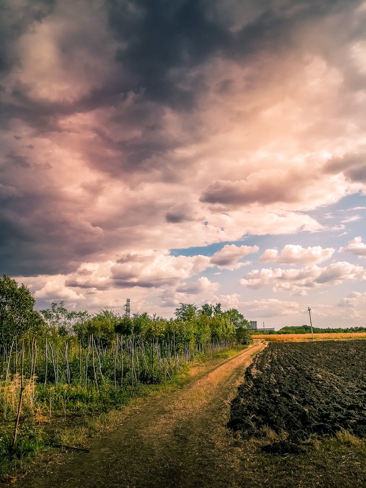 Photograph by miklos bakos