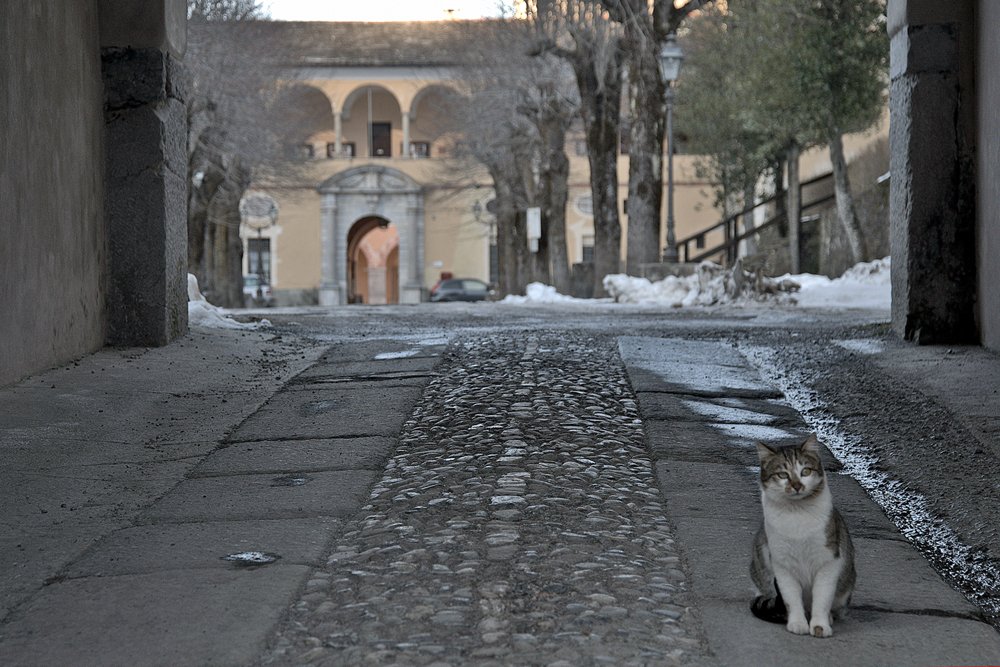 Photograph by julio cesar berisso