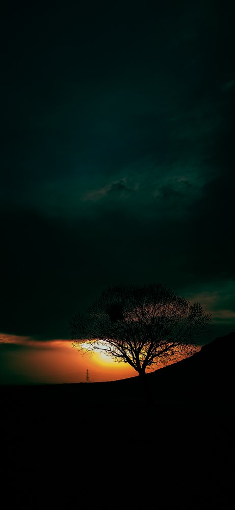 Photograph by seyedjalal seyedhosseini