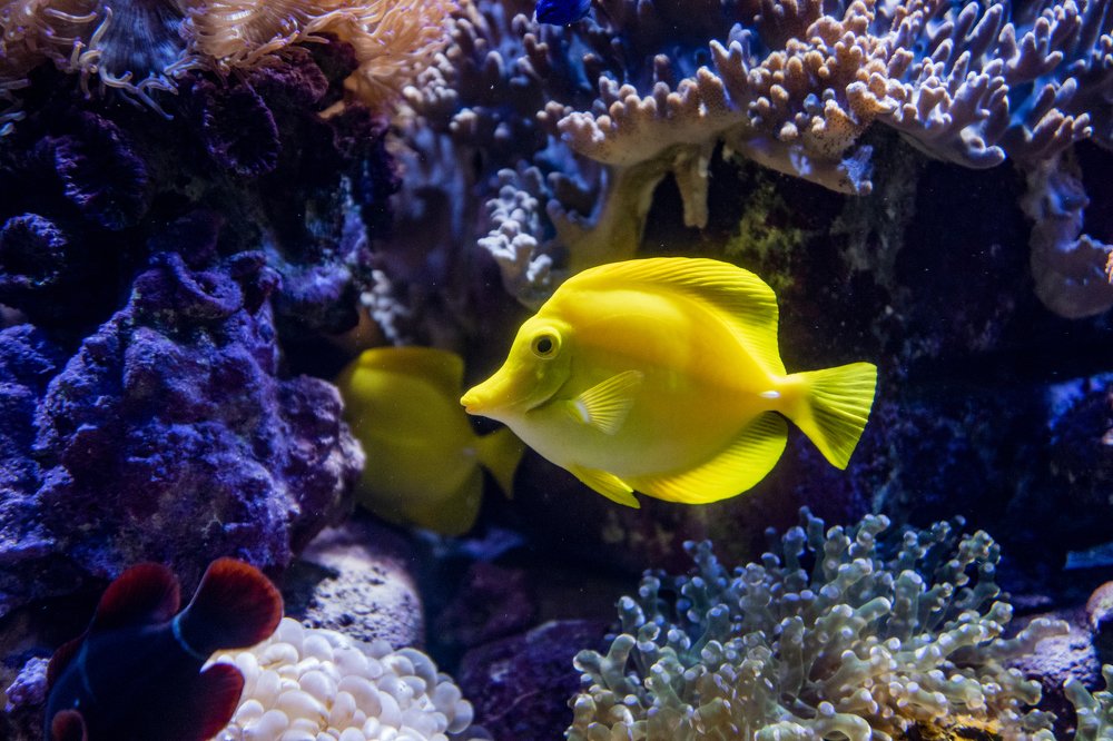 Photograph by Меркулова Наталья Геннадьевна