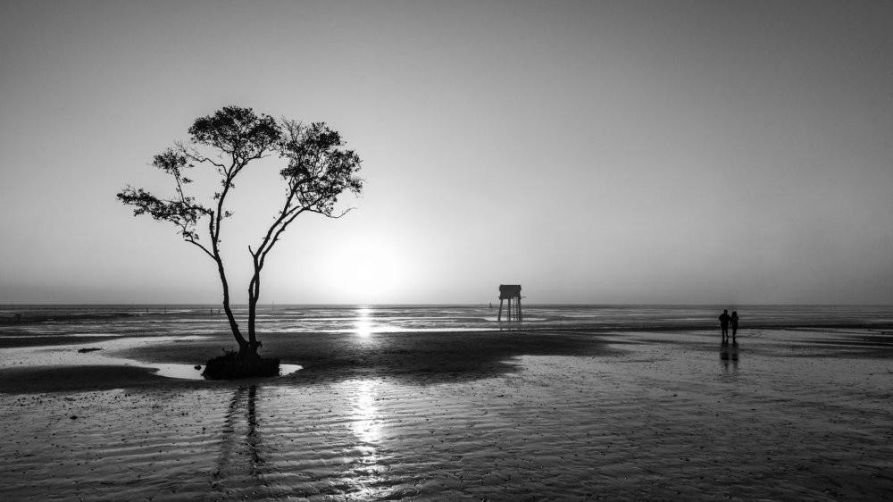 Photograph by Son Chu Thien